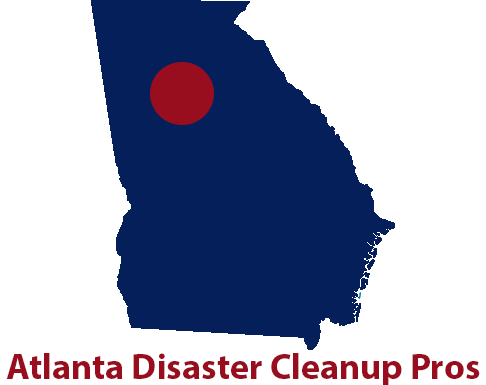 Disaster Cleanup Pros